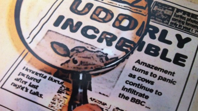 moo_cow_postcard1920x1080